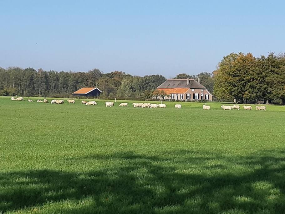 B&B Joostink In Vorden Buitenkant foto